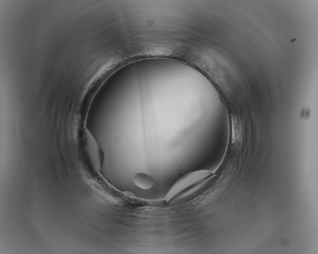 X0000094800300200711161504