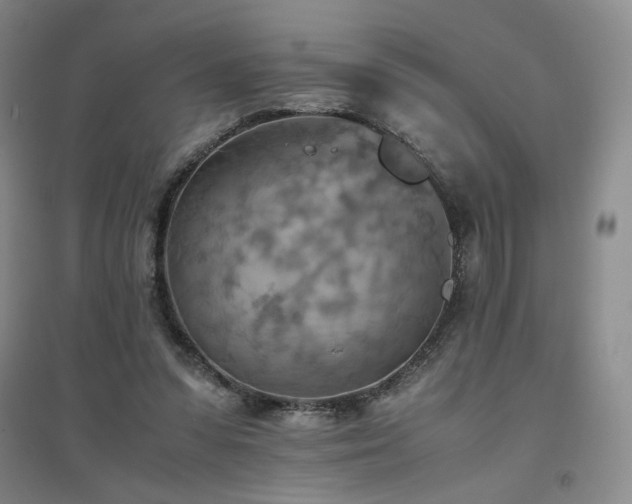 X0000094800303200711161504