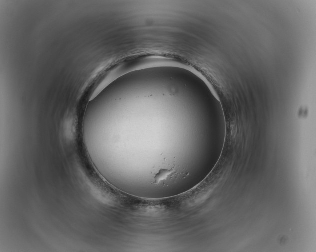 X0000094800304200711161504