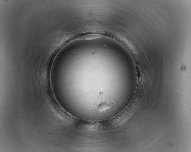 X0000094800306200711161504