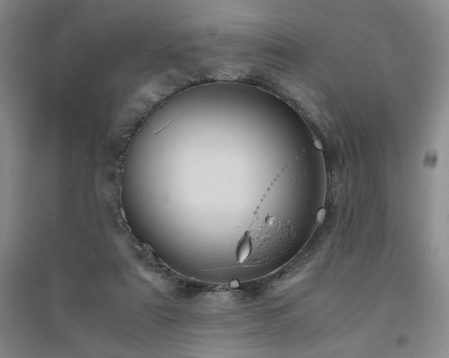 X0000094800307200711161504