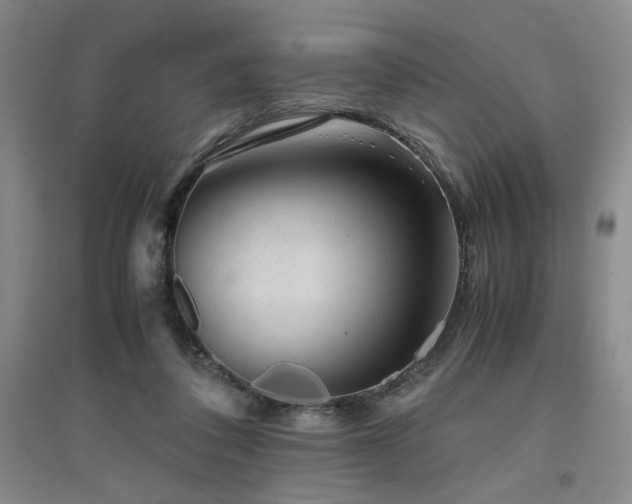 X0000094800308200711161504