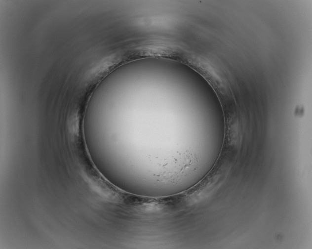 X0000094800310200711161504