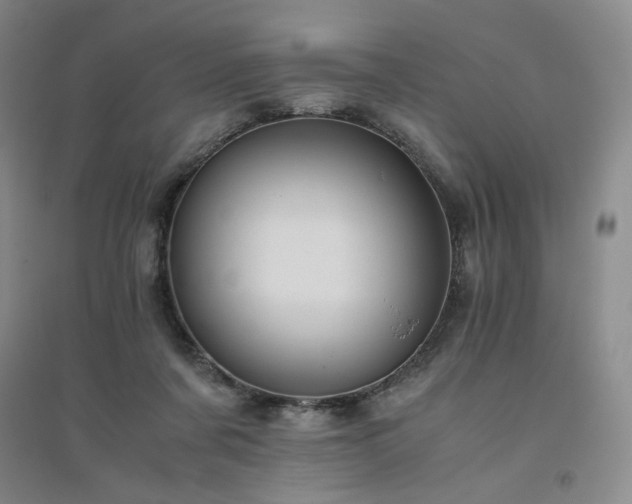 X0000094800311200711161504