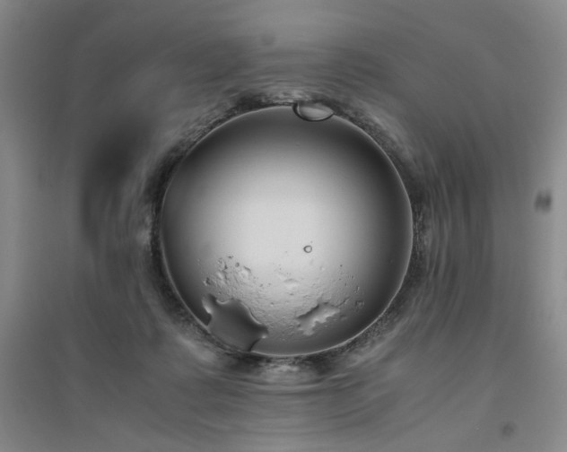 X0000094800315200711161504
