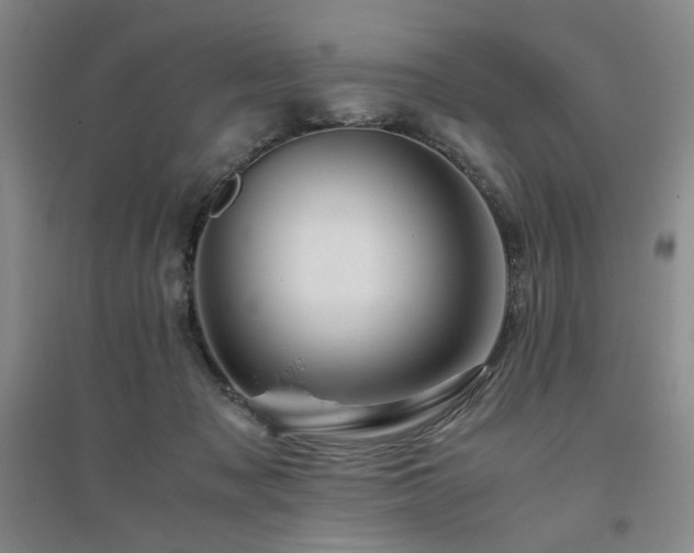 X0000094800317200711161504