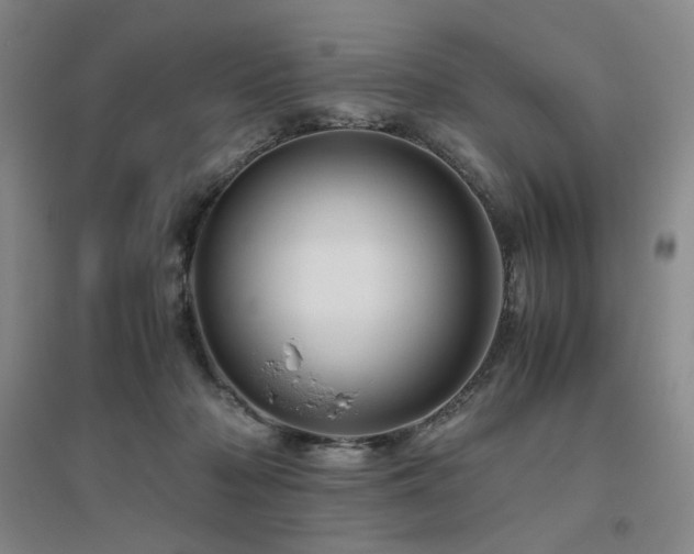 X0000094800318200711161504