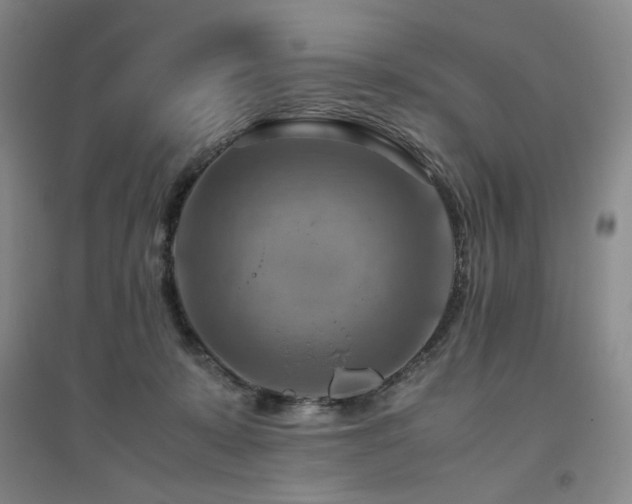 X0000094800319200711161504