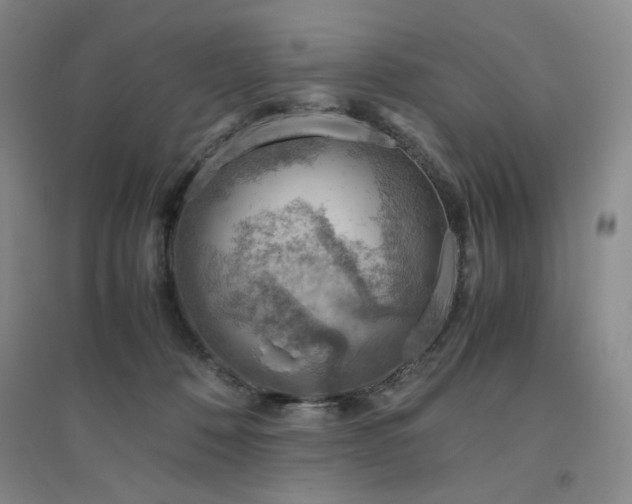 X0000094800320200711161504