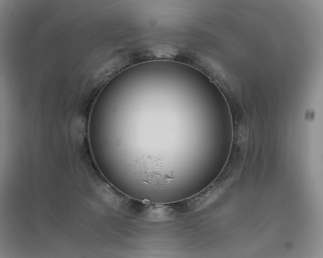 X0000094800321200711161504