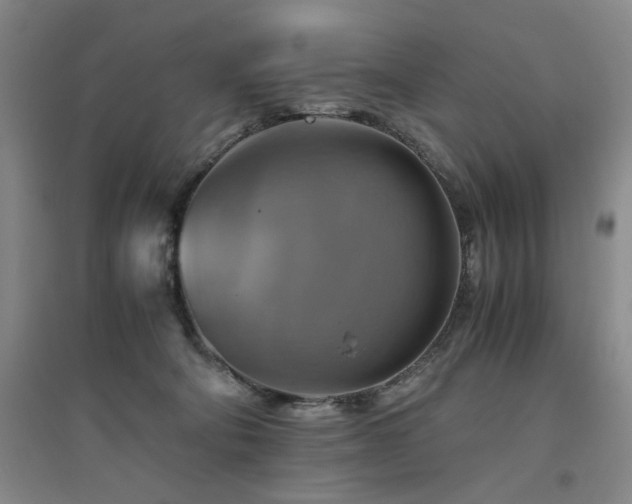 X0000094800322200711161504