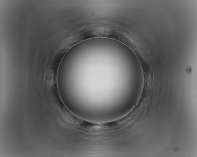 X0000094800323200711161504