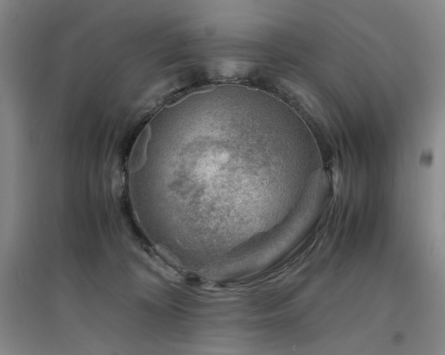 X0000094800324200711161504
