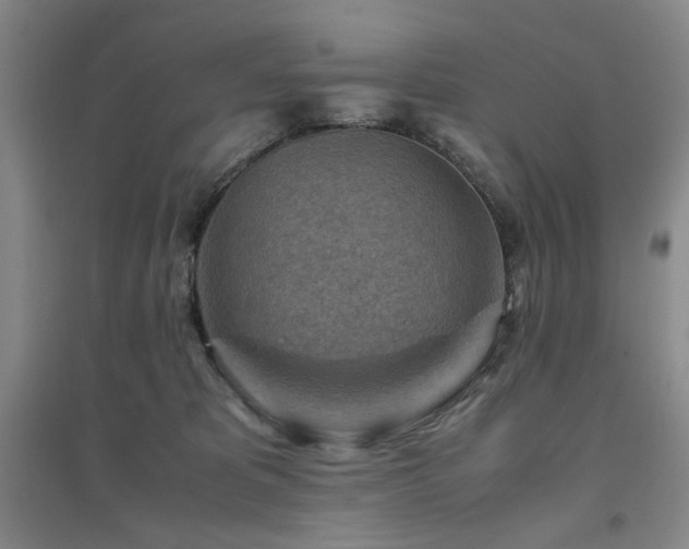 X0000094800325200711161504