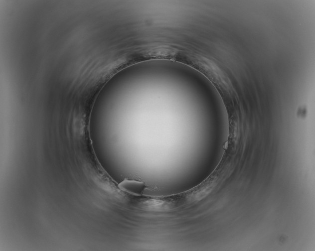 X0000094800326200711161504