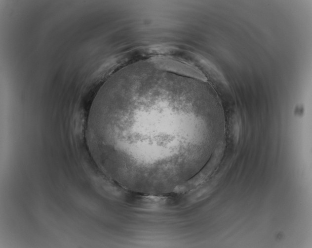 X0000094800328200711161504