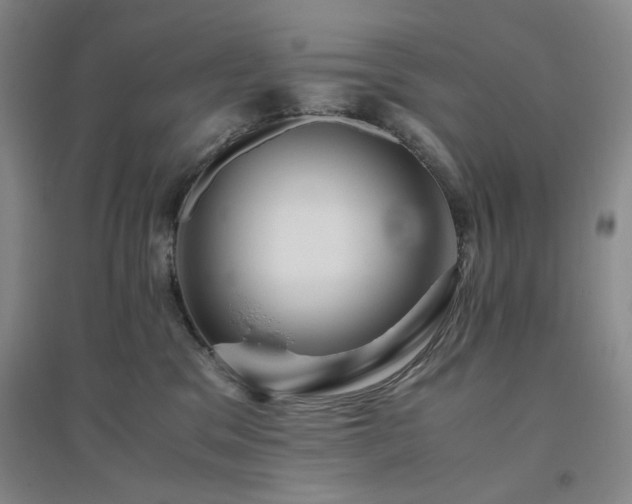 X0000094800329200711161504