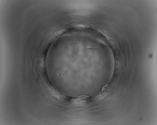 X0000094800331200711161504