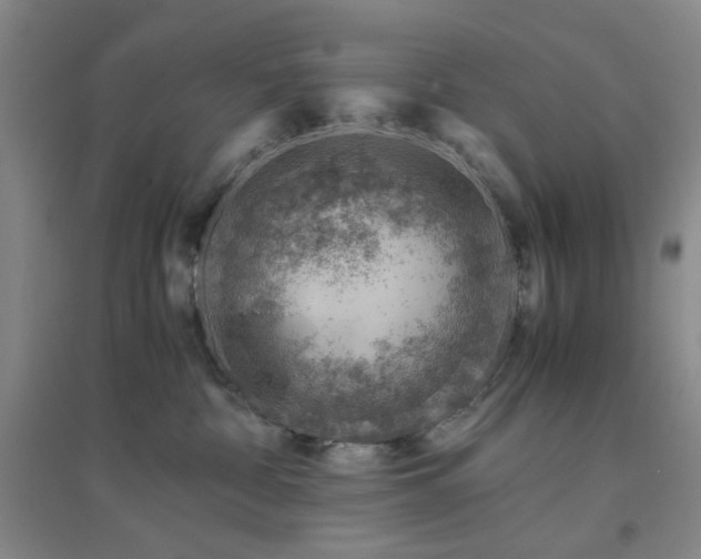 X0000094800332200711161504