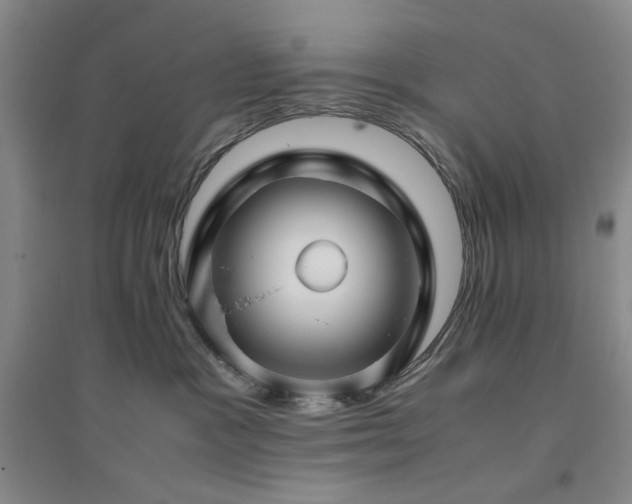 X0000094800333200711161504