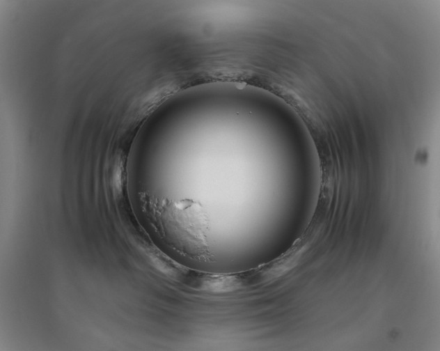 X0000094800334200711161504