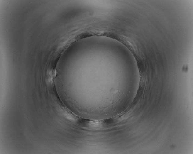X0000094800335200711161504