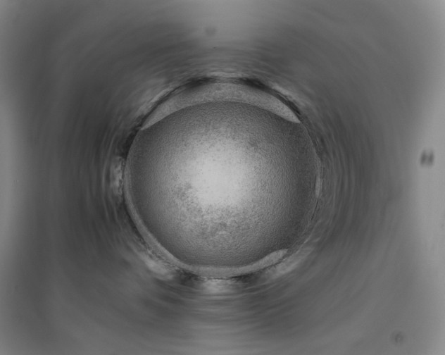 X0000094800336200711161504