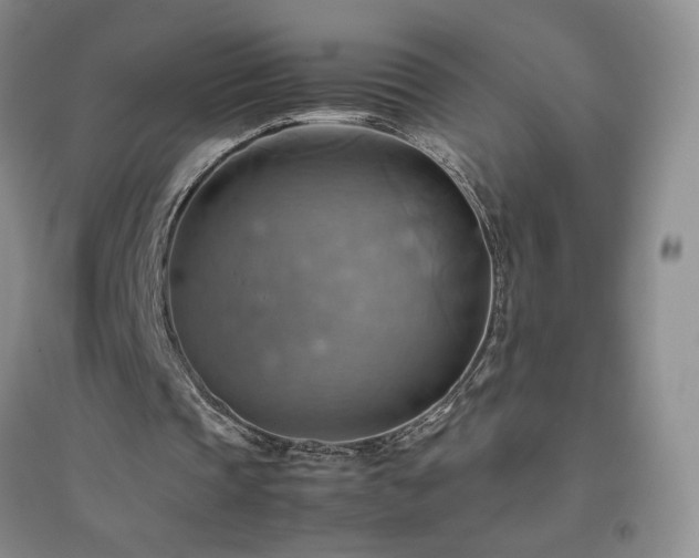X0000094800337200711161503