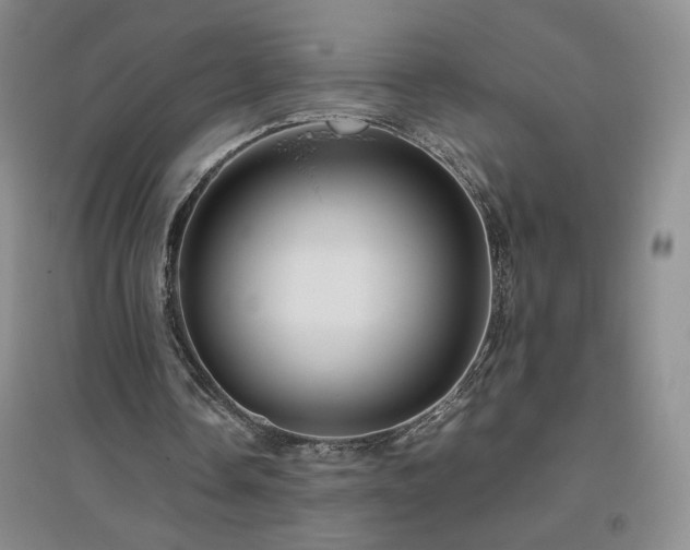 X0000094800338200711161503
