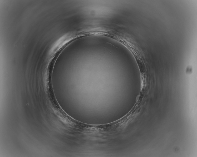 X0000094800339200711161503