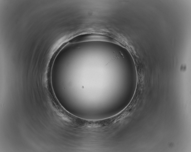 X0000094800340200711161503