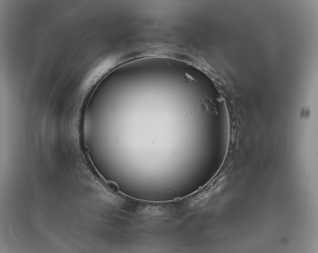 X0000094800341200711161503