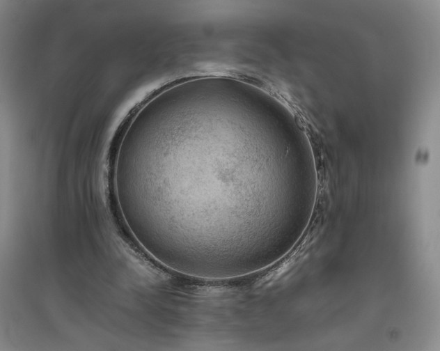 X0000094800342200711161503