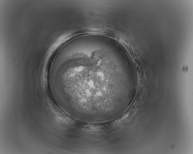X0000094800343200711161503