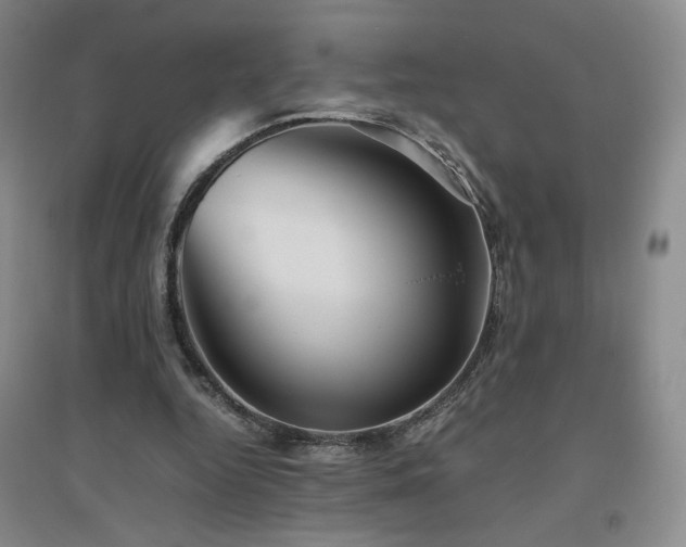 X0000094800344200711161503