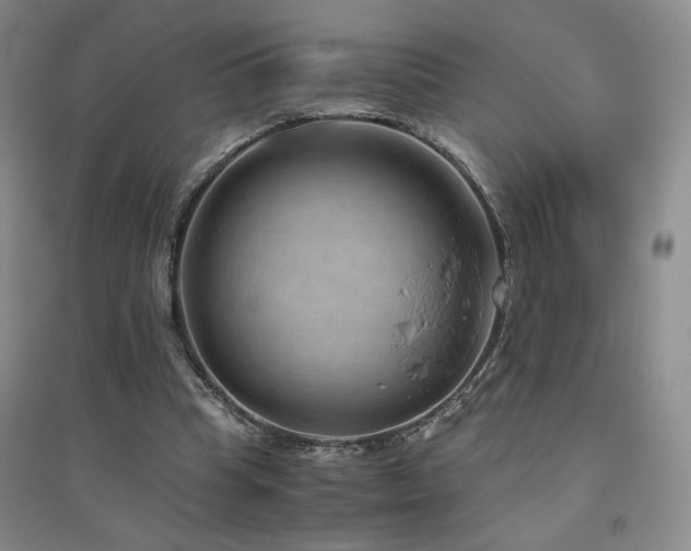 X0000094800345200711161503