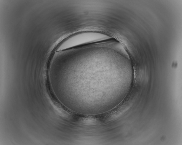 X0000094800348200711161503