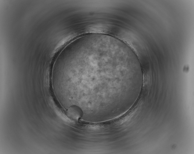 X0000094800349200711161503