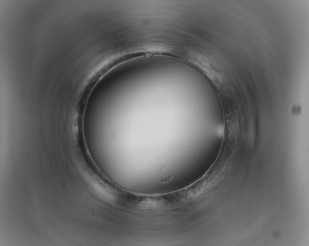 X0000094800350200711161503