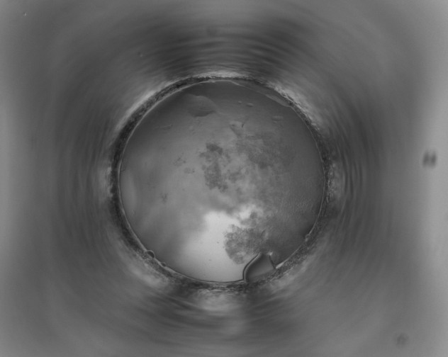 X0000094800351200711161503
