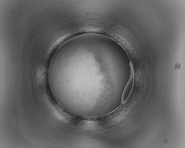 X0000094800352200711161503