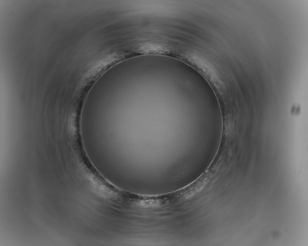 X0000094800353200711161503