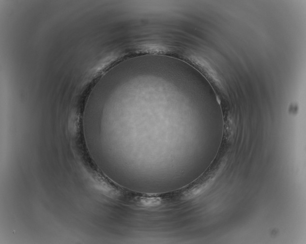 X0000094800355200711161503