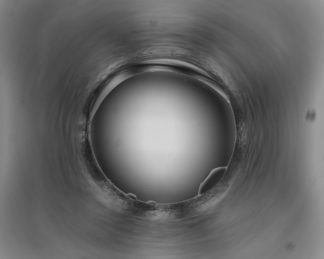 X0000094800356200711161503