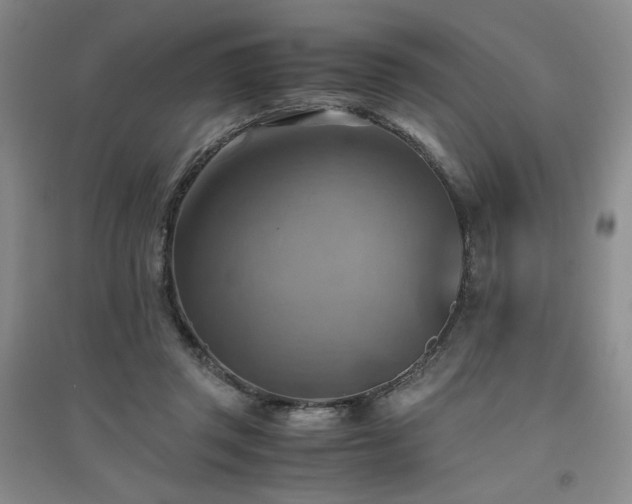X0000094800357200711161503