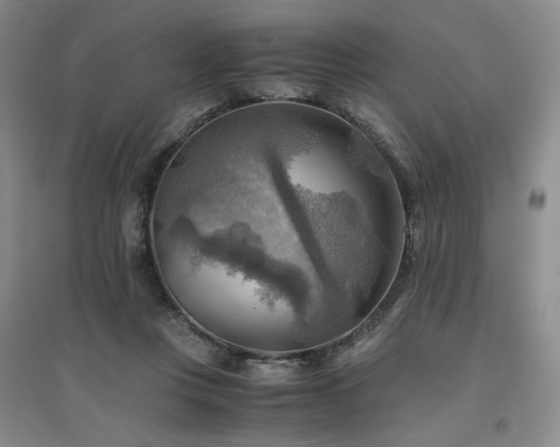X0000094800359200711161503