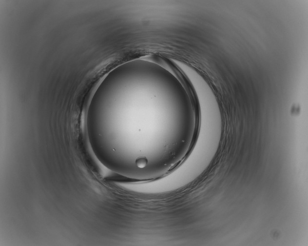 X0000094800360200711161503