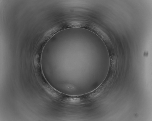 X0000094800361200711161503