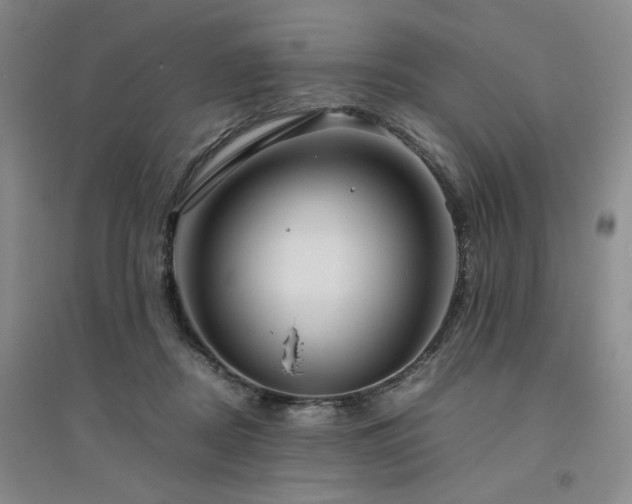 X0000094800362200711161503