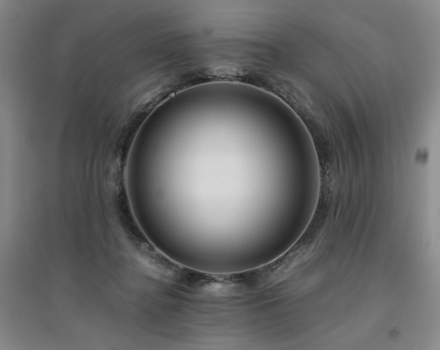 X0000094800364200711161503